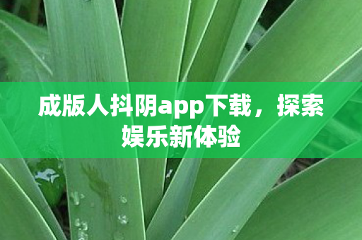成版人抖阴app下载，探索娱乐新体验