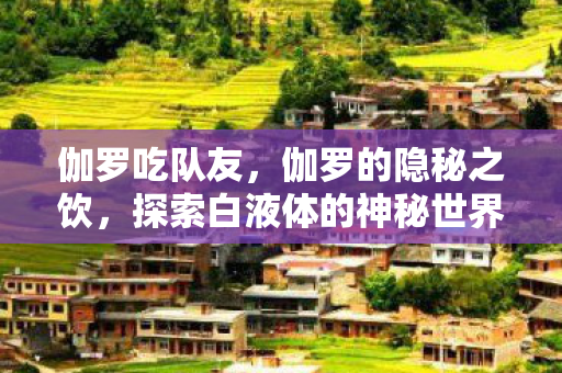 伽罗吃队友,伽罗的隐秘之饮,探索白液体的神秘世界 伽罗吃队友,伽罗的隐秘之饮,探索白液体的神秘世界