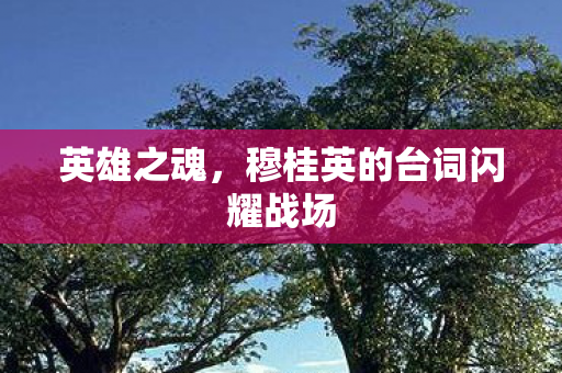 英雄之魂，穆桂英的台词闪耀战场
