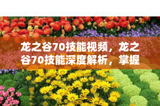 龙之谷70技能视频,龙之谷70技能深度解析,掌握新技能,挑战新高度 龙之谷70技能视频,龙之谷70技能深度解析,掌握新技能,挑战新高度