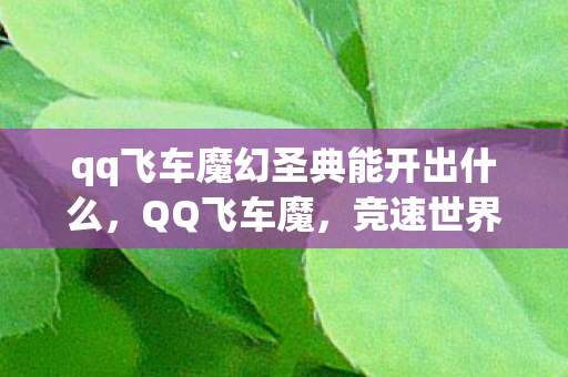 qq飞车魔幻圣典能开出什么，QQ飞车魔，竞速世界的无限可能