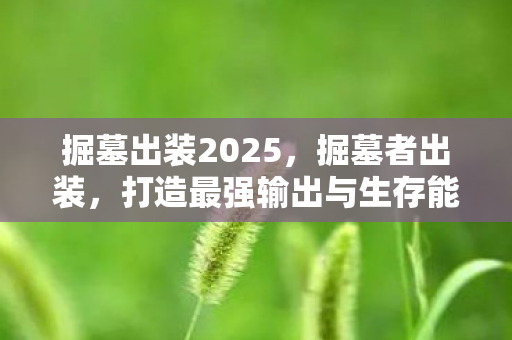 掘墓出装2025，掘墓者出装，打造最强输出与生存能力