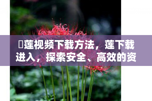 磂莲视频下载方法,莲下载进入,探索安全、高效的资源获取新途径 磂莲视频下载方法,莲下载进入,探索安全、高效的资源获取新途径