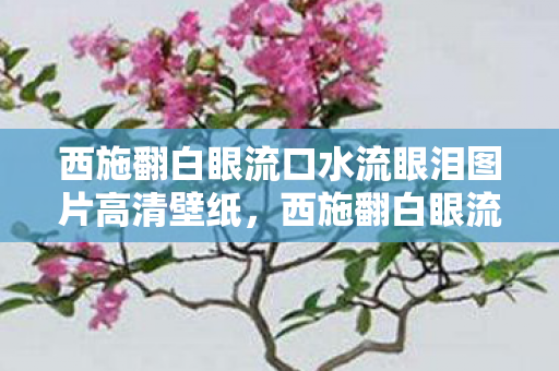 西施翻白眼流口水流眼泪图片高清壁纸,西施翻白眼流口水,历史与文化的另类解读 西施翻白眼流口水流眼泪图片高清壁纸,西施翻白眼流口水,历史与文化的另类解读