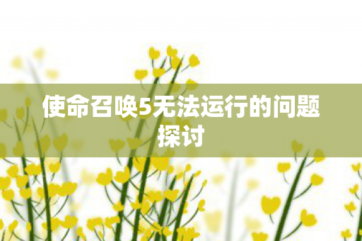 使命召唤5无法运行的问题探讨