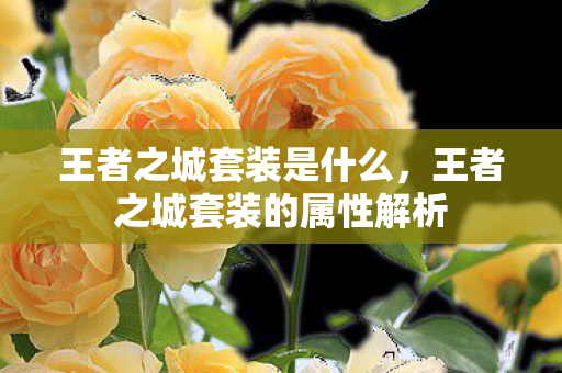 王者之城套装是什么,王者之城套装的属性解析 王者之城套装是什么,王者之城套装的属性解析