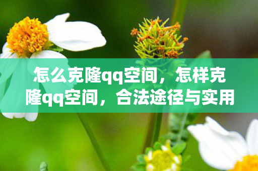 怎么克隆qq空间,怎样克隆qq空间,合法途径与实用技巧 怎么克隆qq空间,怎样克隆qq空间,合法途径与实用技巧