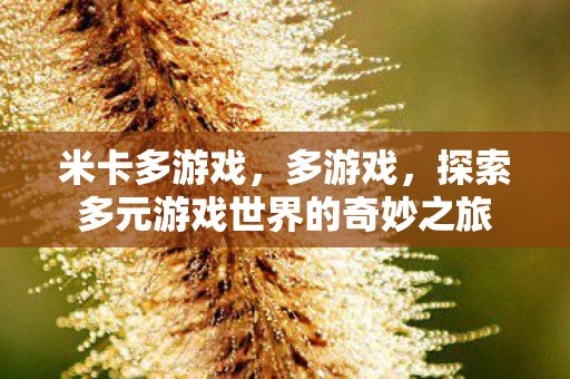 米卡多游戏，多游戏，探索多元游戏世界的奇妙之旅