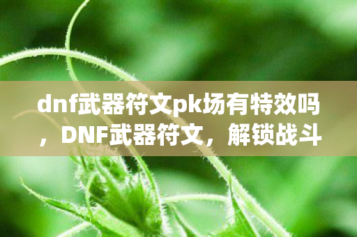 dnf武器符文pk场有特效吗,DNF武器符文,解锁战斗新境界的秘钥 dnf武器符文pk场有特效吗,DNF武器符文,解锁战斗新境界的秘钥