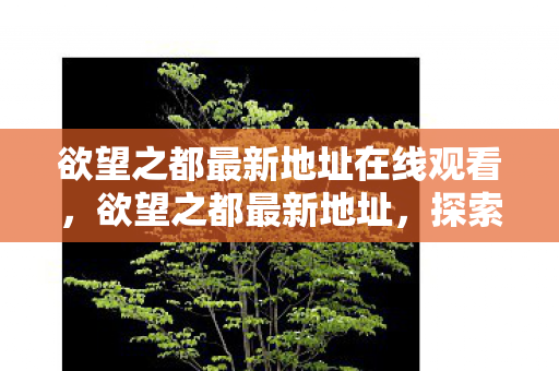 欲望之都最新地址在线观看，欲望之都最新地址，探索虚拟世界的奇幻之旅
