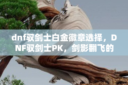 dnf驭剑士白金徽章选择,DNF驭剑士PK,剑影翻飞的战场艺术 dnf驭剑士白金徽章选择,DNF驭剑士PK,剑影翻飞的战场艺术