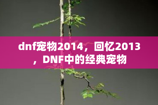 dnf宠物2014,回忆2013,DNF中的经典宠物 dnf宠物2014,回忆2013,DNF中的经典宠物