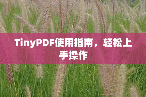 TinyPDF使用指南,轻松上手操作 TinyPDF使用指南,轻松上手操作