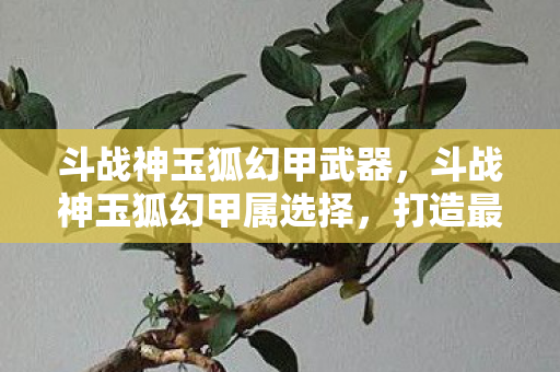 斗战神玉狐幻甲武器,斗战神玉狐幻甲属选择,打造最强战斗力的关键 斗战神玉狐幻甲武器,斗战神玉狐幻甲属选择,打造最强战斗力的关键