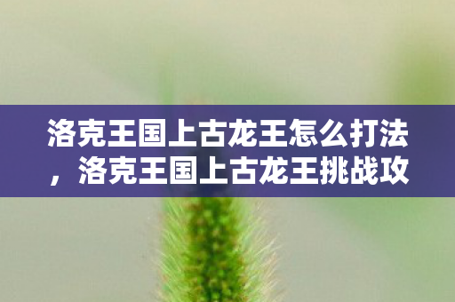 洛克王国上古龙王怎么打法,洛克王国上古龙王挑战攻略 洛克王国上古龙王怎么打法,洛克王国上古龙王挑战攻略