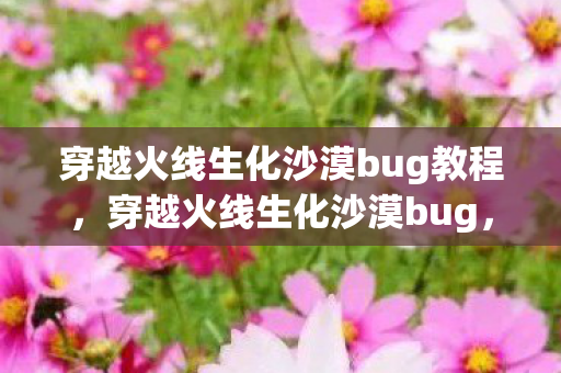 穿越火线生化沙漠bug教程，穿越火线生化沙漠bug，揭秘游戏内的神秘漏洞