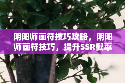 阴阳师画符技巧攻略,阴阳师画符技巧,提升SSR概率的实用攻略 阴阳师画符技巧攻略,阴阳师画符技巧,提升SSR概率的实用攻略