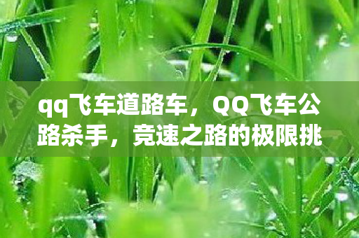 qq飞车道路车,QQ飞车公路杀手,竞速之路的极限挑战 qq飞车道路车,QQ飞车公路杀手,竞速之路的极限挑战