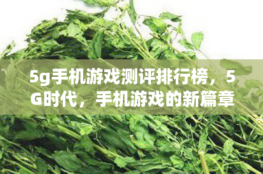 5g手机游戏测评排行榜,5G时代,手机游戏的新篇章 5g手机游戏测评排行榜,5G时代,手机游戏的新篇章