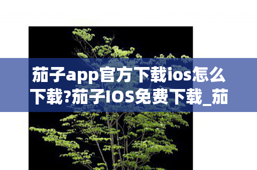 茄子app官方下载ios怎么下载?茄子IOS免费下载_茄子IOS下载安装