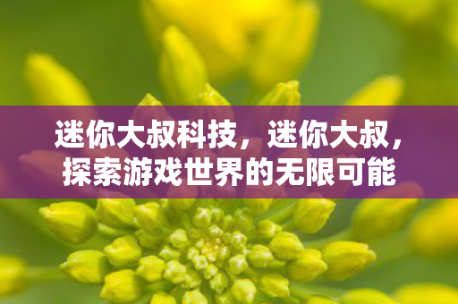 迷你大叔科技，迷你大叔，探索游戏世界的无限可能