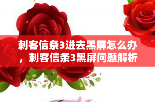 刺客信条3进去黑屏怎么办，刺客信条3黑屏问题解析与解决