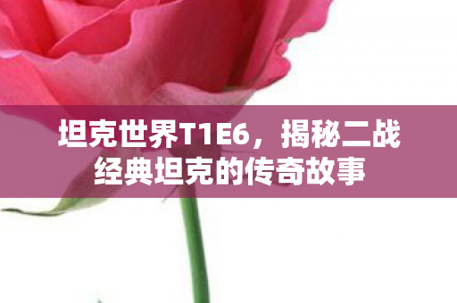 坦克世界T1E6，揭秘二战经典坦克的传奇故事