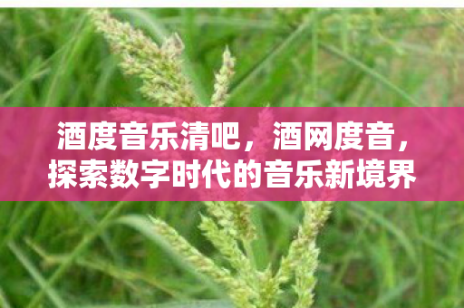 酒度音乐清吧,酒网度音,探索数字时代的音乐新境界 酒度音乐清吧,酒网度音,探索数字时代的音乐新境界