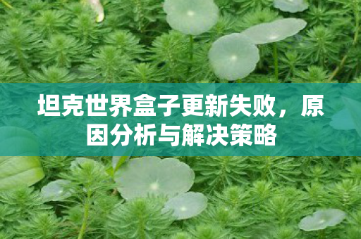 坦克世界盒子更新失败,原因分析与解决策略 坦克世界盒子更新失败,原因分析与解决策略