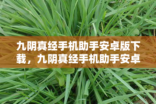 九阴真经手机助手安卓版下载,九阴真经手机助手安卓版,打造便捷游戏体验 九阴真经手机助手安卓版下载,九阴真经手机助手安卓版,打造便捷游戏体验