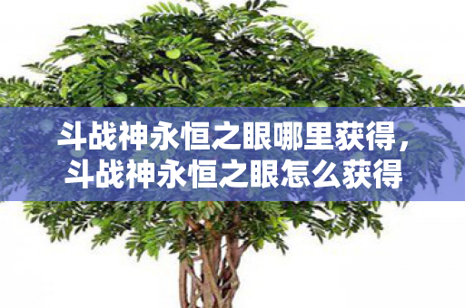 斗战神永恒之眼哪里获得,斗战神永恒之眼怎么获得 斗战神永恒之眼哪里获得,斗战神永恒之眼怎么获得