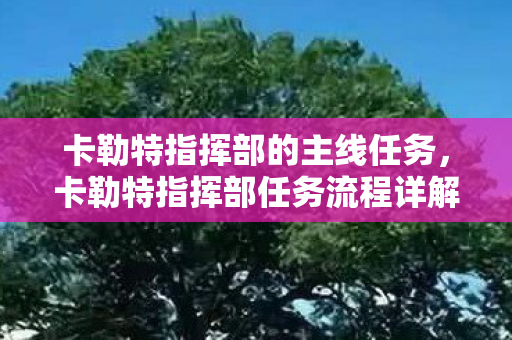 卡勒特指挥部的主线任务,卡勒特指挥部任务流程详解 卡勒特指挥部的主线任务,卡勒特指挥部任务流程详解