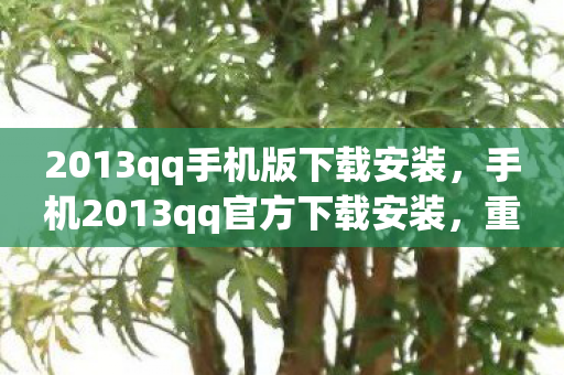 2013qq手机版下载安装,手机2013qq官方下载安装,重温经典,安全无忧 2013qq手机版下载安装,手机2013qq官方下载安装,重温经典,安全无忧