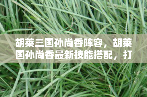 胡莱三国孙尚香阵容,胡莱国孙尚香最新技能搭配,打造强势输出的战斗组合 胡莱三国孙尚香阵容,胡莱国孙尚香最新技能搭配,打造强势输出的战斗组合