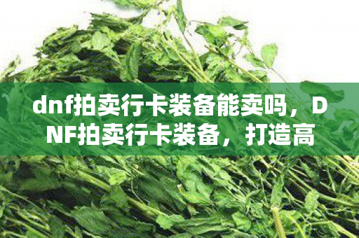 dnf拍卖行卡装备能卖吗,DNF拍卖行卡装备,打造高效交易的必备神器 dnf拍卖行卡装备能卖吗,DNF拍卖行卡装备,打造高效交易的必备神器