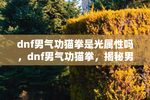 dnf男气功猫拳是光属性吗,dnf男气功猫拳,揭秘男气功师的核心技能与玩法 dnf男气功猫拳是光属性吗,dnf男气功猫拳,揭秘男气功师的核心技能与玩法