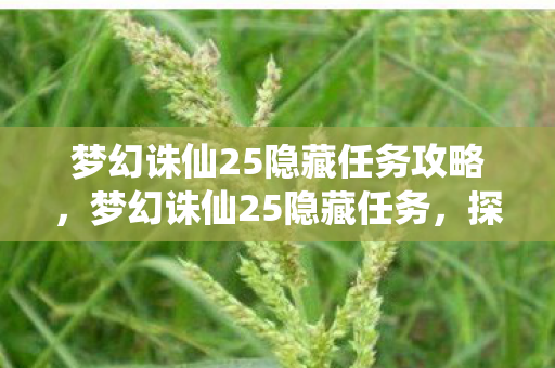 梦幻诛仙25隐藏任务攻略,梦幻诛仙25隐藏任务,探索未知世界的奇妙之旅 梦幻诛仙25隐藏任务攻略,梦幻诛仙25隐藏任务,探索未知世界的奇妙之旅