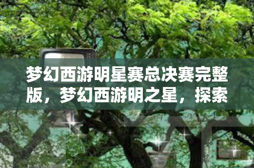 梦幻西游明星赛总决赛完整版,梦幻西游明之星,探索经典游戏的魅力与未来 梦幻西游明星赛总决赛完整版,梦幻西游明之星,探索经典游戏的魅力与未来