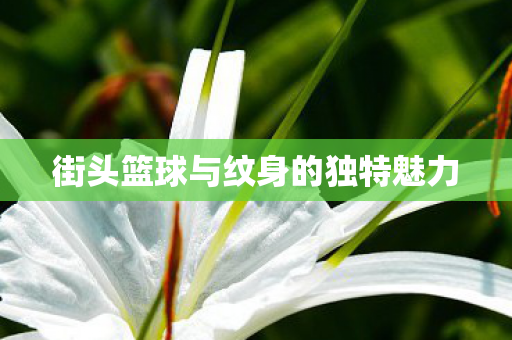 街头篮球与纹身的独特魅力 街头篮球与纹身的独特魅力