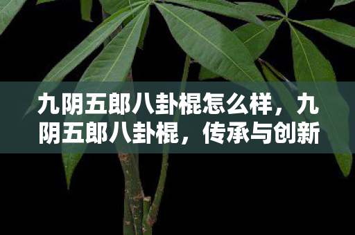 九阴五郎八卦棍怎么样，九阴五郎八卦棍，传承与创新的武侠之魂