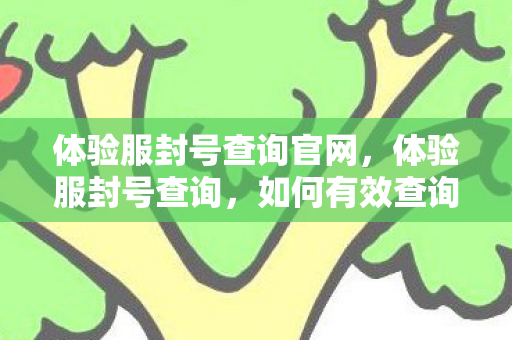 体验服封号查询官网，体验服封号查询，如何有效查询并避免封号风险