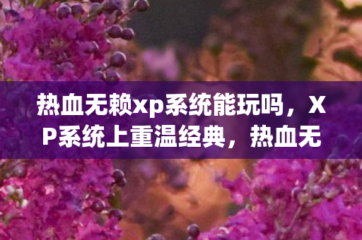热血无赖xp系统能玩吗，XP系统上重温经典，热血无赖的怀旧之旅