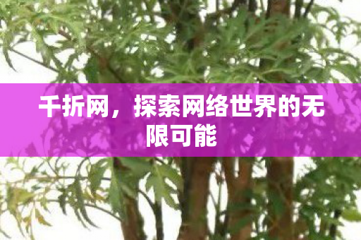 千折网，探索网络世界的无限可能
