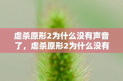 虐杀原形2为什么没有声音了,虐杀原形2为什么没有声音,深入解析游戏音频问题 虐杀原形2为什么没有声音了,虐杀原形2为什么没有声音,深入解析游戏音频问题