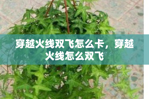 穿越火线双飞怎么卡,穿越火线怎么双飞 穿越火线双飞怎么卡,穿越火线怎么双飞