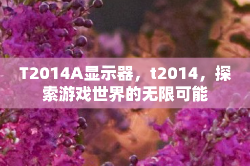 T2014A显示器,t2014,探索游戏世界的无限可能 T2014A显示器,t2014,探索游戏世界的无限可能