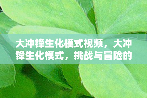 大冲锋生化模式视频,大冲锋生化模式,挑战与冒险的极致体验 大冲锋生化模式视频,大冲锋生化模式,挑战与冒险的极致体验
