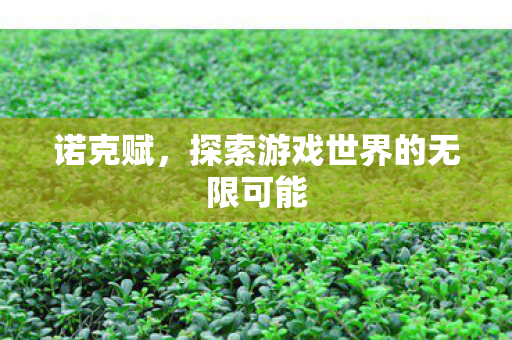 诺克赋,探索游戏世界的无限可能 诺克赋,探索游戏世界的无限可能