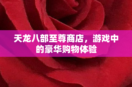 天龙八部至尊商店,游戏中的豪华购物体验 天龙八部至尊商店,游戏中的豪华购物体验