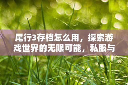 尾行3存档怎么用,探索游戏世界的无限可能,私服与玩家的互动新体验 尾行3存档怎么用,探索游戏世界的无限可能,私服与玩家的互动新体验
